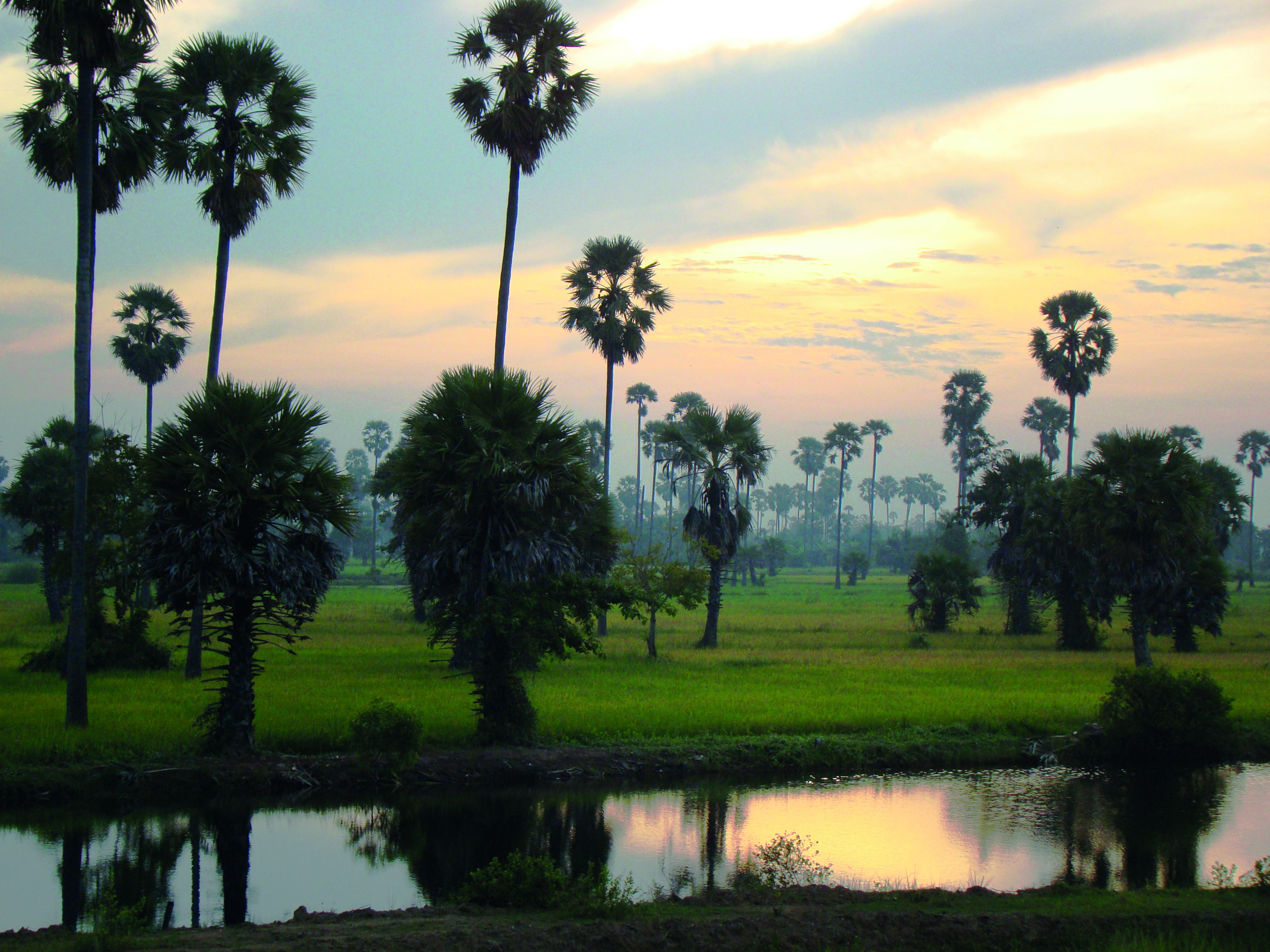 EASTERN & ORIENTAL EXPRESS TRAIN (BELMOND): "ESSENCE OF MALAYSIA" — 8